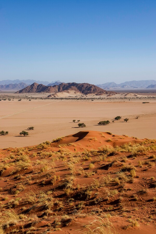 Africa