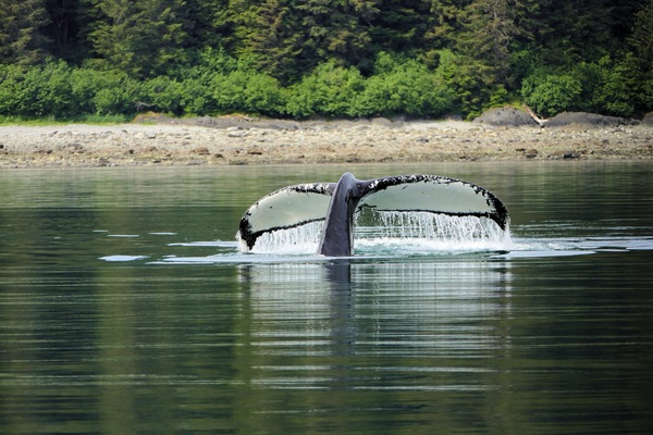 Alaska