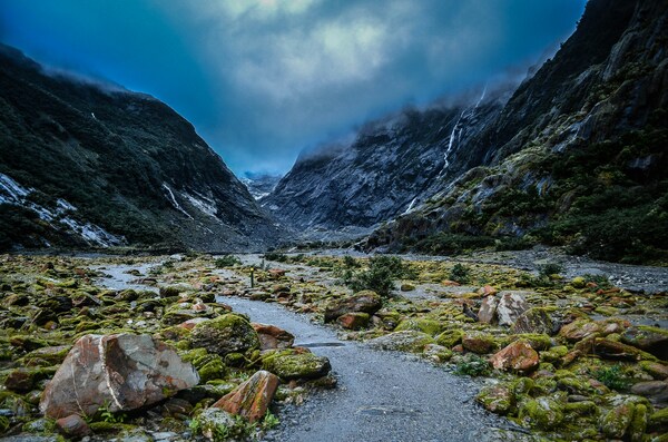 Australia & New Zealand