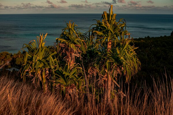 Pacific